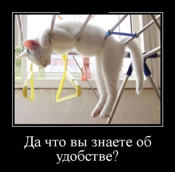 Бессонница юмор демотиваторы