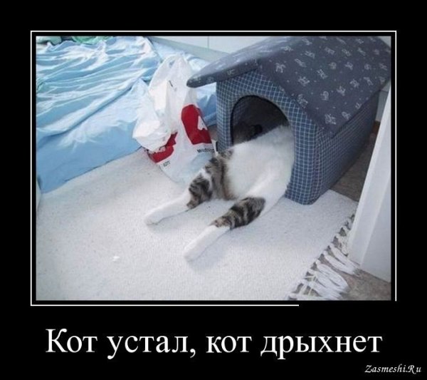 Устала демотиватор