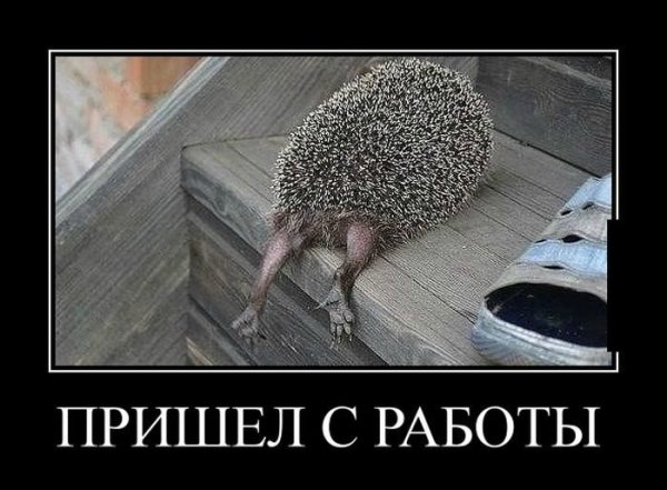 Улётные демотиваторы