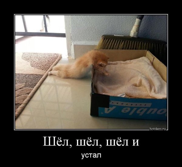 Устал прикол