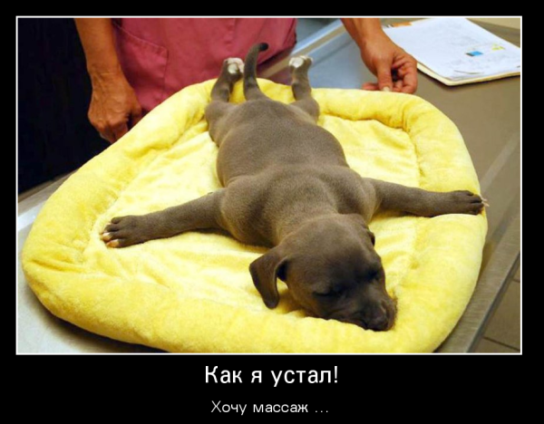 Устал демотиватор