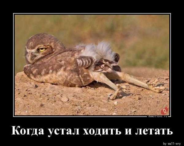 Устала демотиваторы приколы