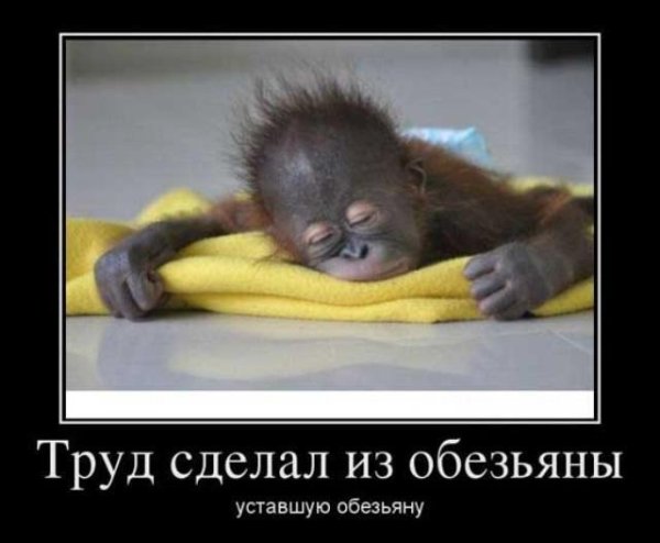 Шутки про усталость