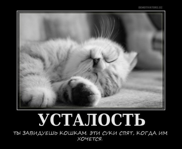 Статусы про усталость
