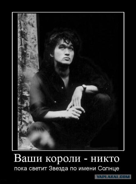 Цой жив демотиватор