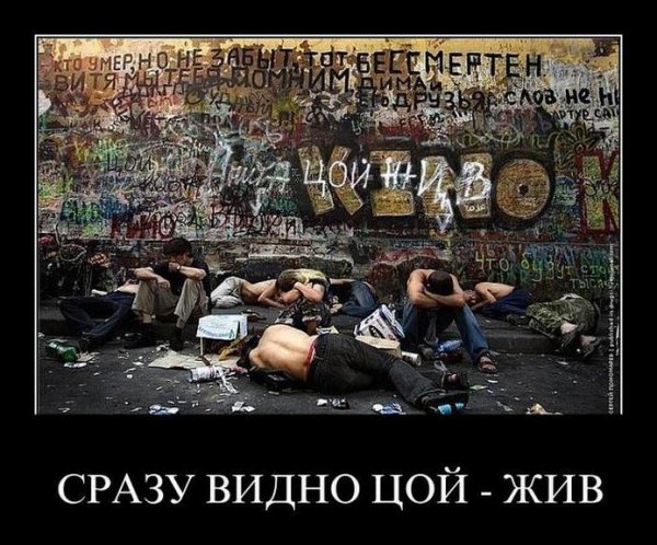 Панк демотиваторы