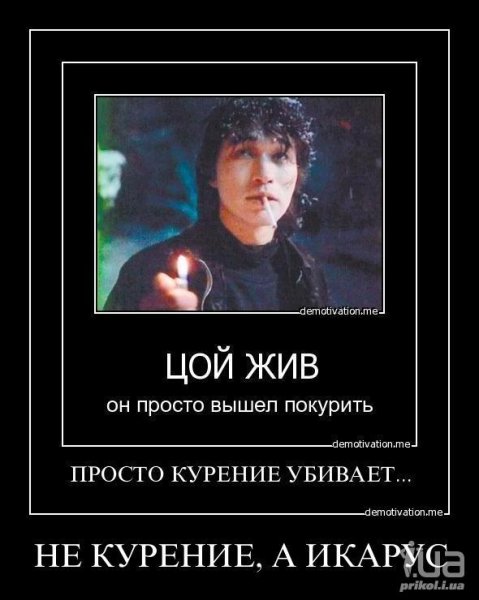 Цой ДУМЕР