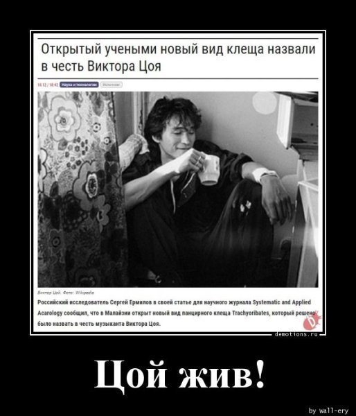 Виктор Цой жив доказательства