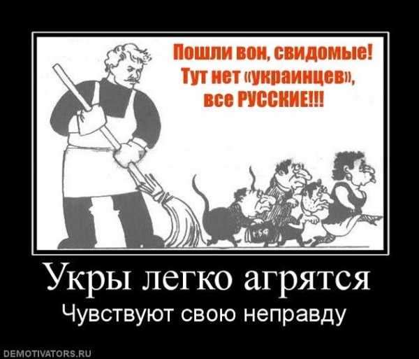 Демотиваторы про Украину