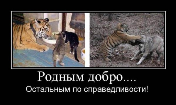 Демотиваторы про родственников