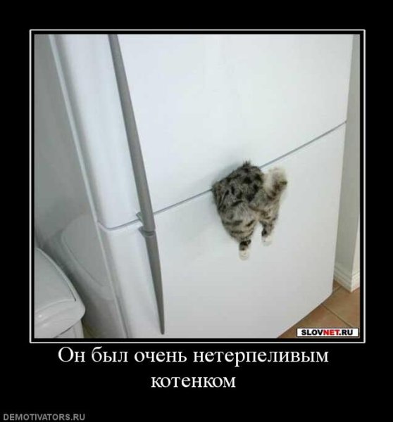 Несправедливость демотиваторы