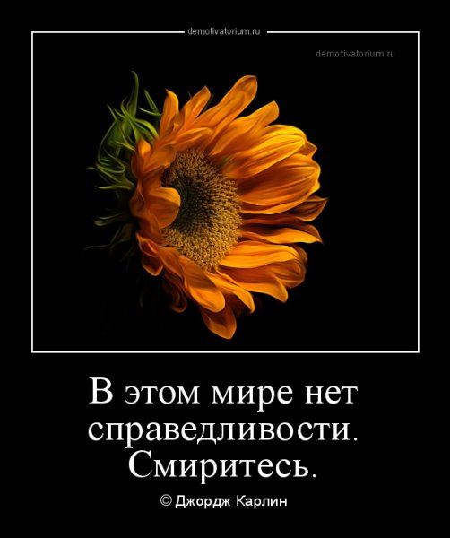 В этом мире нет справедливости смиритесь