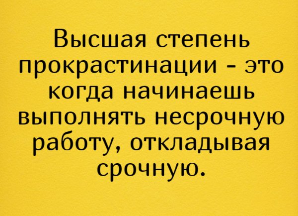 Прокрастинация прикол