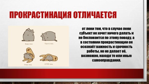Прокрастинация комикс