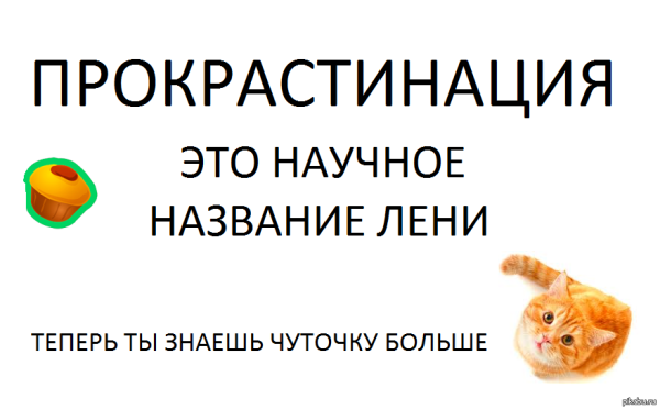 Прокрастинация юмор