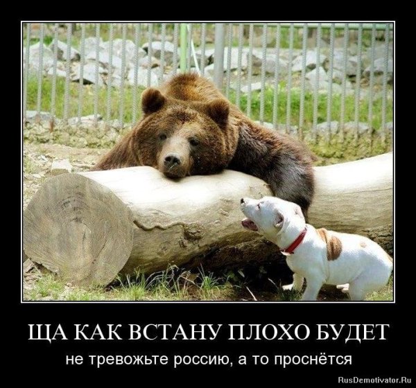 Мишка демотиватор