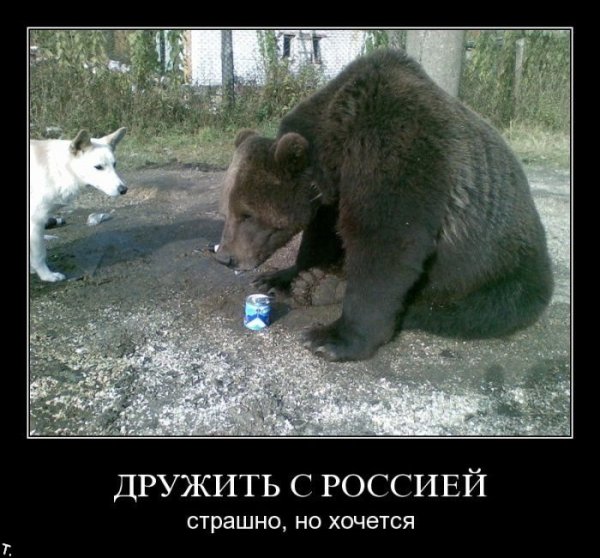 Шутки про медведя в России