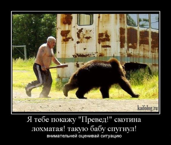 Русский медведь демотиватор