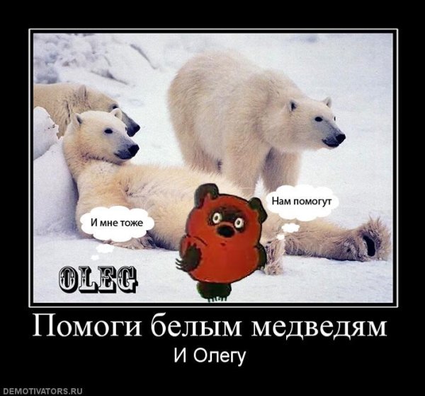 Мишка демотиватор