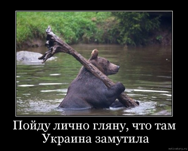 Сова открывай медведь пришел