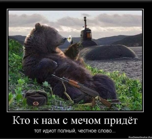 Медведи в России приколы