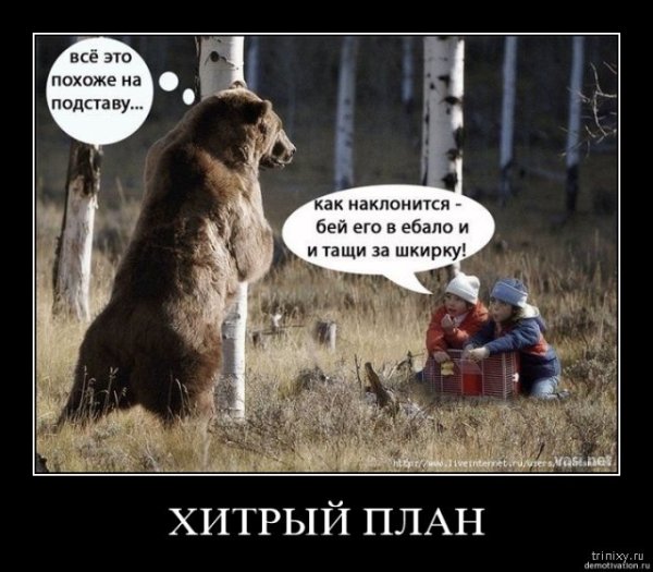 Шутки про медведя
