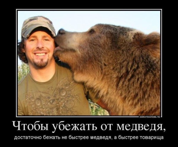 Медведь демотиватор