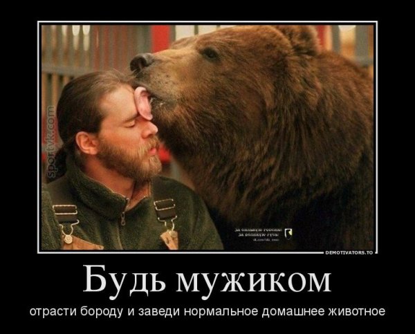 Будь мужиком отрасти бороду и заведи нормальное домашнее животное