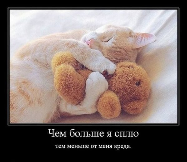 Утренние демотиваторы