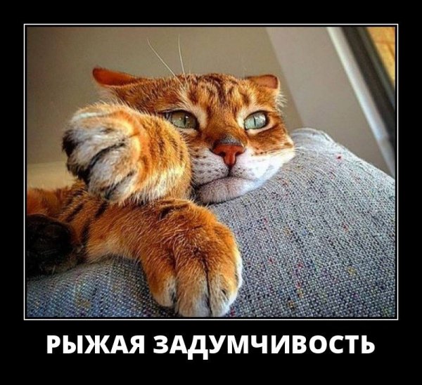 Позитивные демотиваторы для поднятия настроения