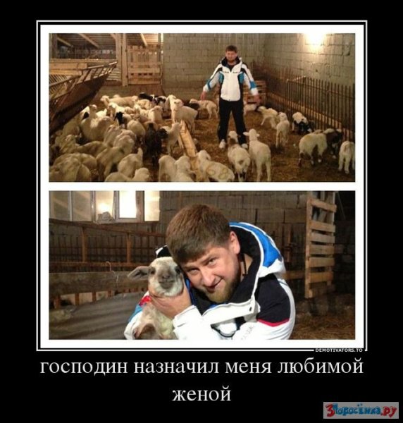 Рамзан Кадыров демотиватор