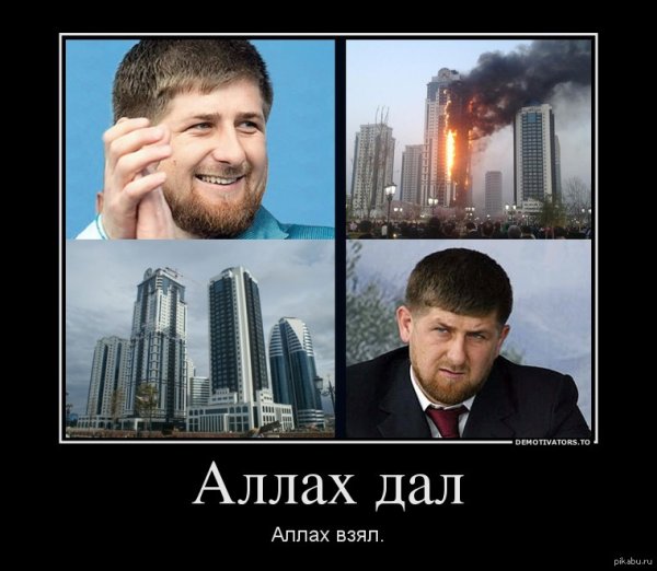 Кадыров мемы