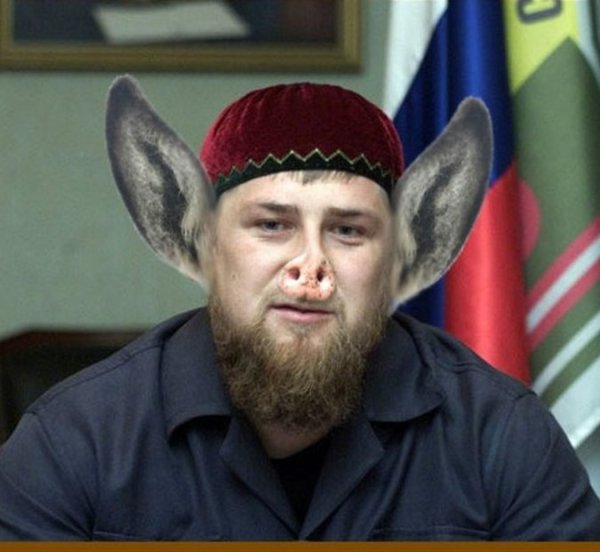 Извините Рамзан Ахматович