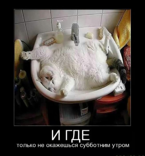 Утро субботы