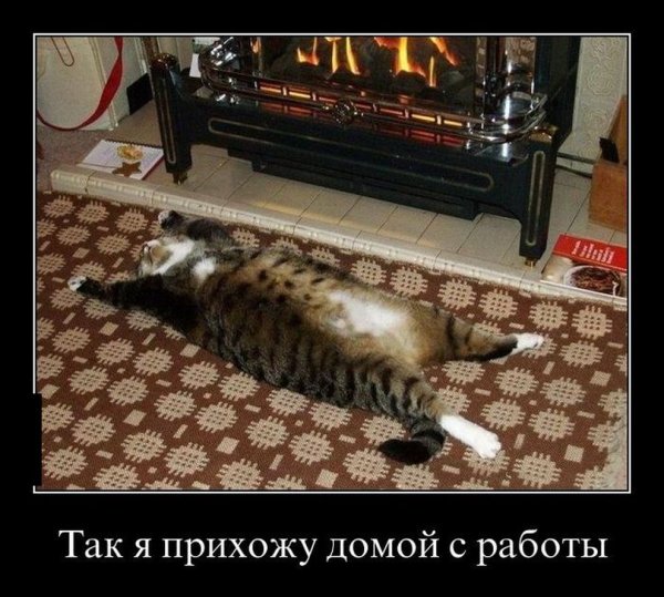 Понедельник демотиваторы смешные