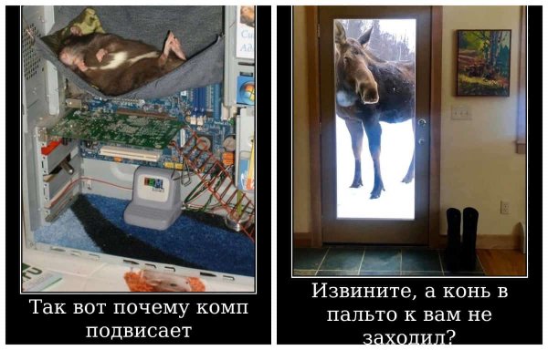 Демотиваторы про субботу смешные