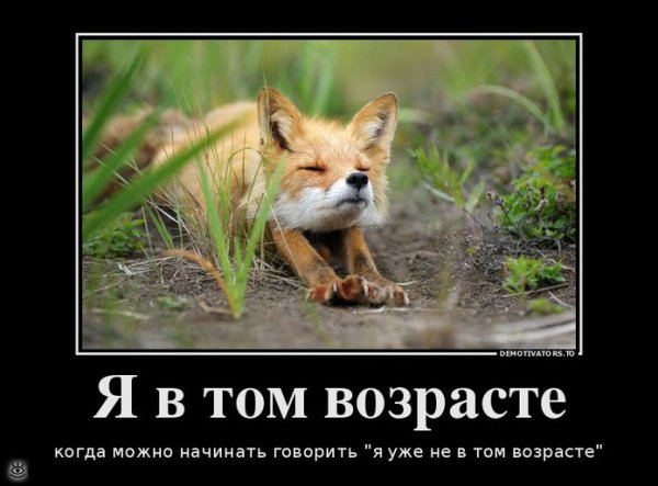 Суббота демотиватор