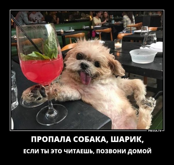 Торговый представитель прикол