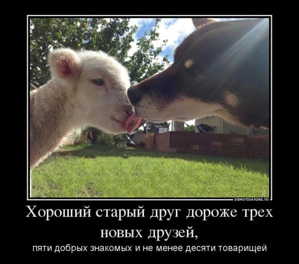 Шутки про понедельник