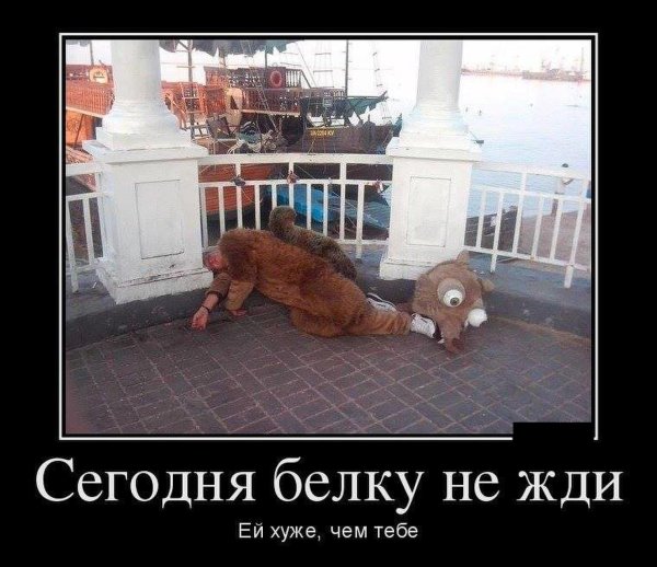 Весёлые картинки демотиваторы
