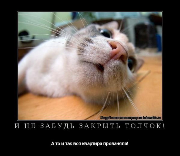Выздоравливай мотиваторы