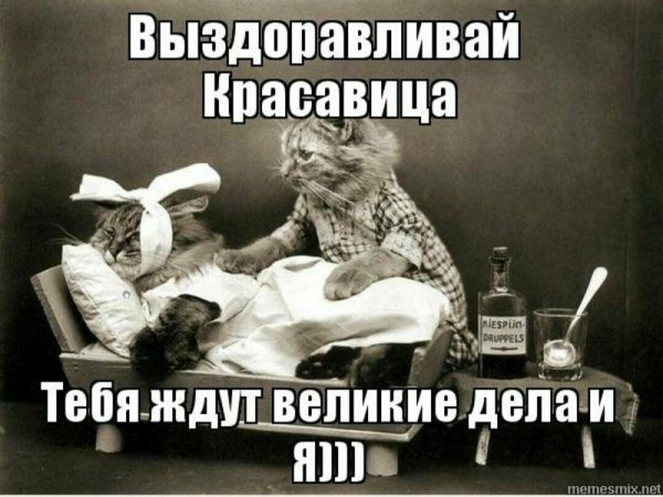 Не болей выздоравливай скорей
