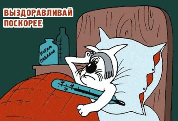Скорейшего выздоровления демотиваторы