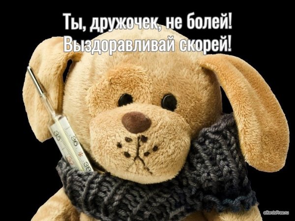 Выздоравливай Лиза