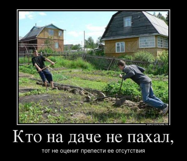 Шутки про огород