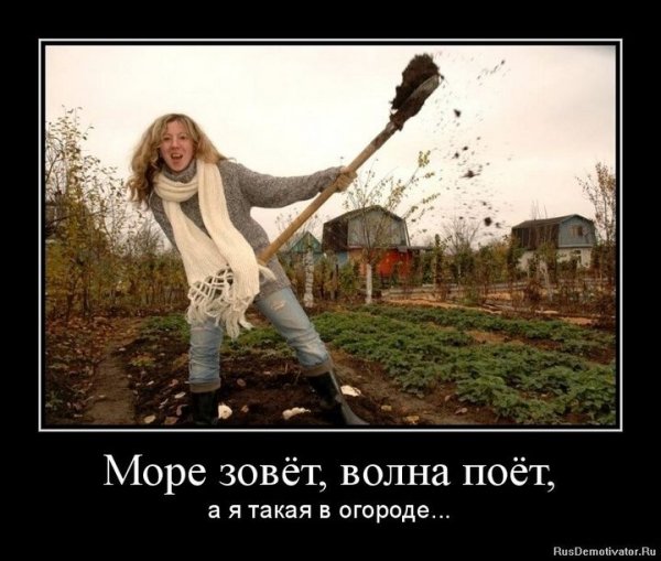 Прикольная дача