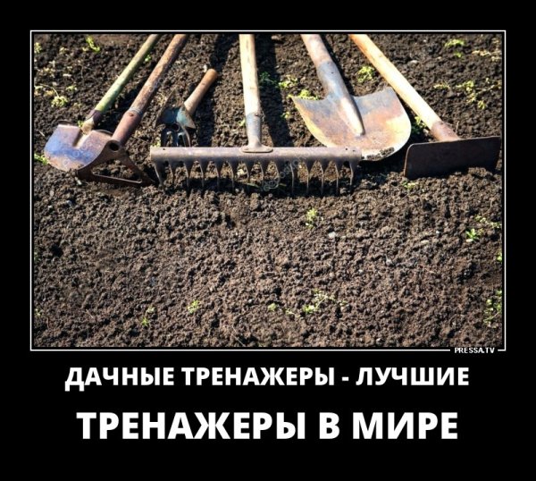 Еду на дачу