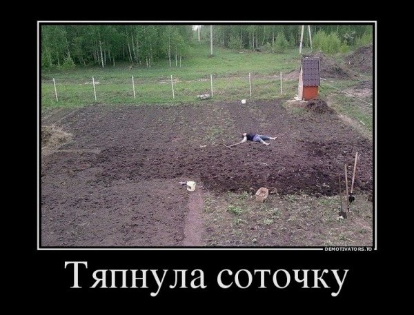 Приколы про дачу