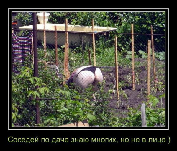 Анекдоты про огород