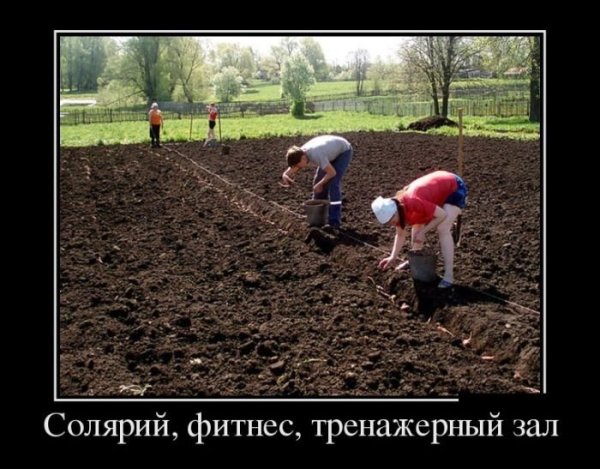 Дачные демотиваторы